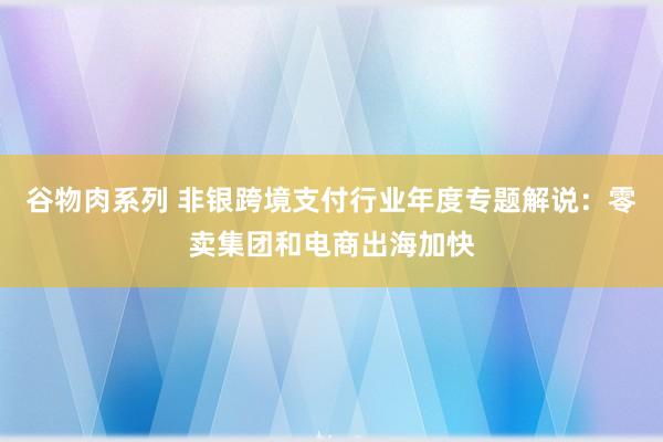 谷物肉系列 非银跨境支付行业年度专题解说：零卖集团和电商出海加快