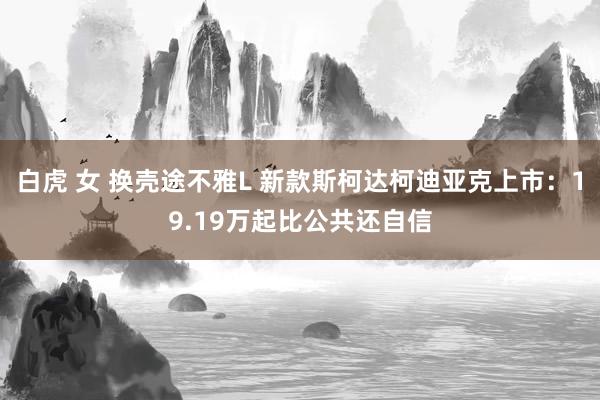 白虎 女 换壳途不雅L 新款斯柯达柯迪亚克上市：19.19万起比公共还自信