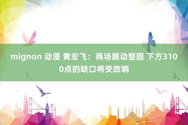mignon 动漫 黄宏飞:商场颤动整固 下方3100点的缺口将受放哨