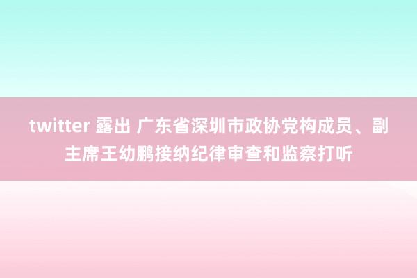 twitter 露出 广东省深圳市政协党构成员、副主席王幼鹏接纳纪律审查和监察打听