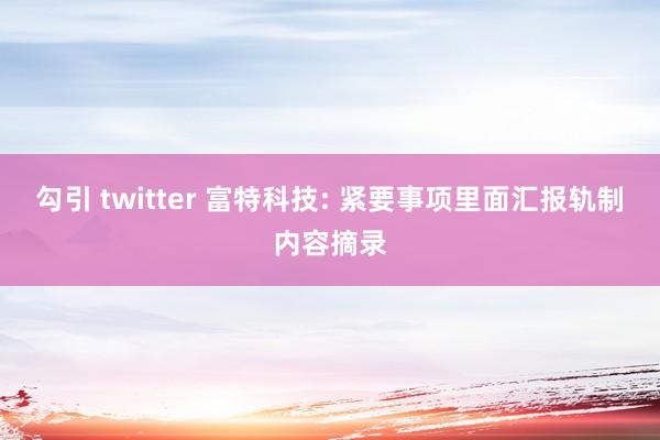 勾引 twitter 富特科技: 紧要事项里面汇报轨制内容摘录