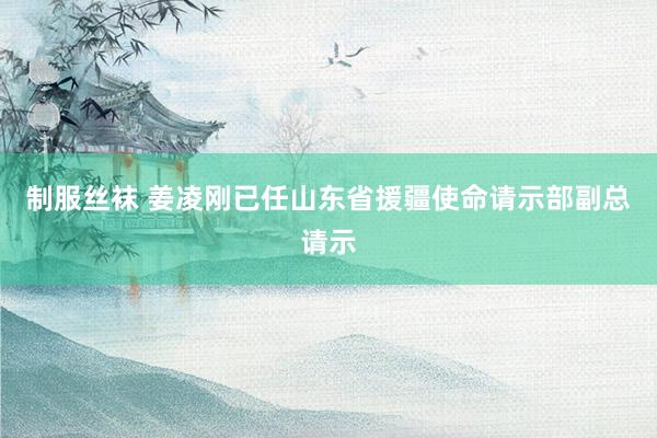 制服丝袜 姜凌刚已任山东省援疆使命请示部副总请示