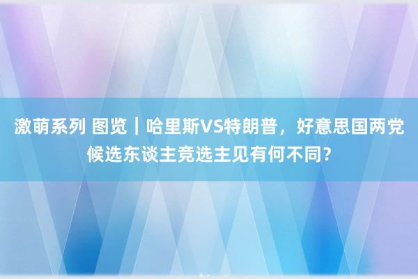 激萌系列 图览｜哈里斯VS特朗普，好意思国两党候选东谈主竞选主见有何不同？