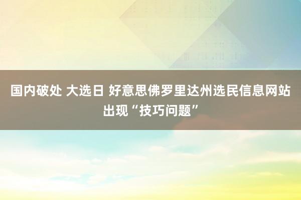 国内破处 大选日 好意思佛罗里达州选民信息网站出现“技巧问题”