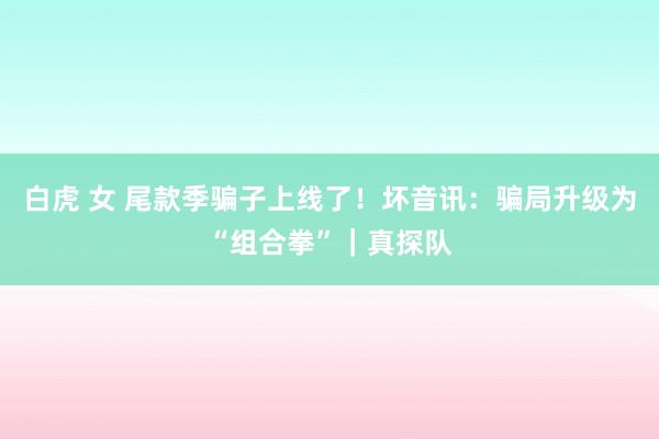 白虎 女 尾款季骗子上线了！坏音讯：骗局升级为“组合拳”｜真探队