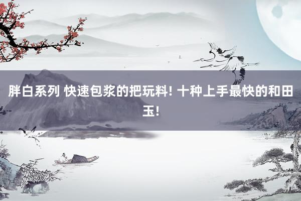 胖白系列 快速包浆的把玩料! 十种上手最快的和田玉!