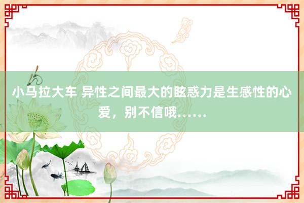 小马拉大车 异性之间最大的眩惑力是生感性的心爱,别不信哦……