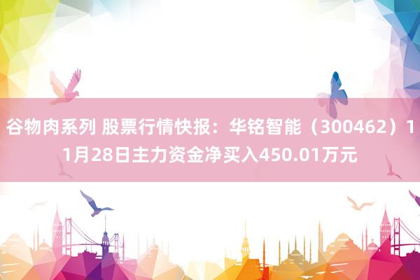 谷物肉系列 股票行情快报：华铭智能（300462）11月28日主力资金净买入450.01万元