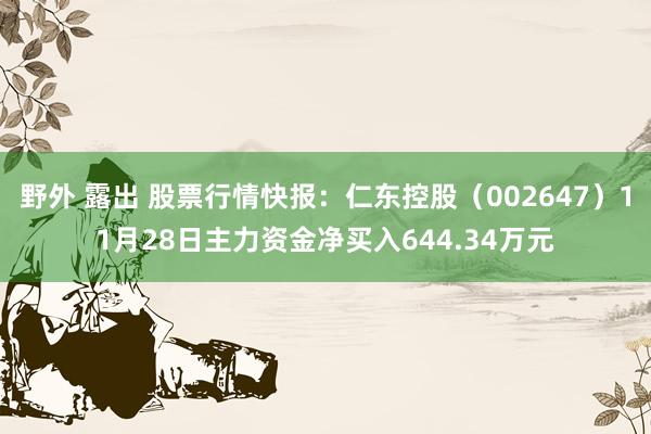 野外 露出 股票行情快报：仁东控股（002647）11月28日主力资金净买入644.34万元