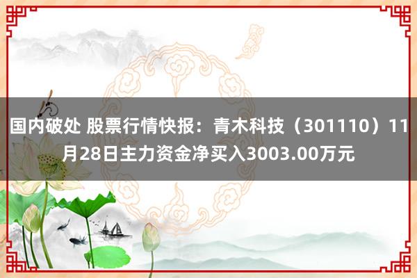 国内破处 股票行情快报：青木科技（301110）11月28日主力资金净买入3003.00万元
