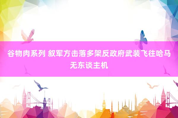 谷物肉系列 叙军方击落多架反政府武装飞往哈马无东谈主机