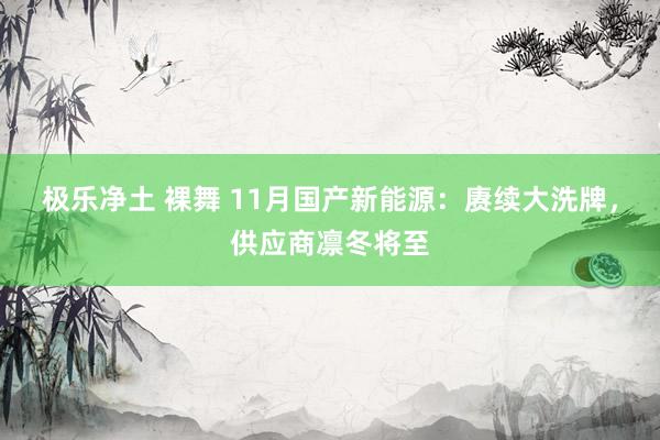 极乐净土 裸舞 11月国产新能源：赓续大洗牌，供应商凛冬将至