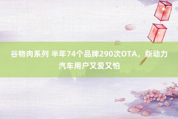 谷物肉系列 半年74个品牌290次OTA，新动力汽车用户又爱又怕