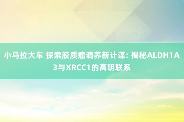 小马拉大车 探索胶质瘤调养新计谋: 揭秘ALDH1A3与XRCC1的高明联系