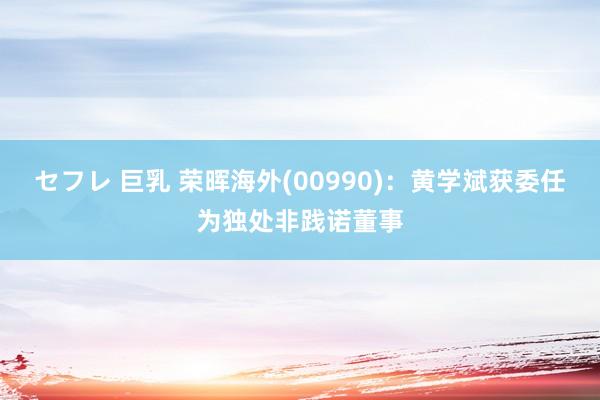 セフレ 巨乳 荣晖海外(00990)：黄学斌获委任为独处非践诺董事