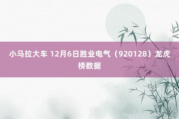 小马拉大车 12月6日胜业电气（920128）龙虎榜数据