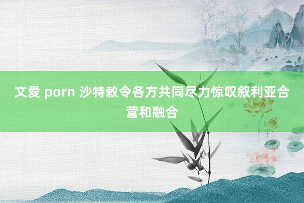 文爱 porn 沙特敕令各方共同尽力惊叹叙利亚合营和融合