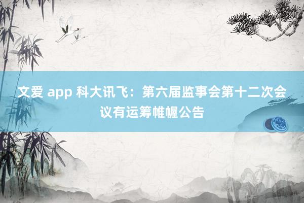 文爱 app 科大讯飞：第六届监事会第十二次会议有运筹帷幄公告