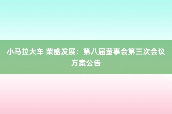 小马拉大车 荣盛发展：第八届董事会第三次会议方案公告