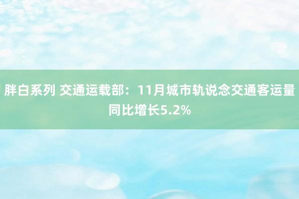 胖白系列 交通运载部：11月城市轨说念交通客运量同比增长5.2%
