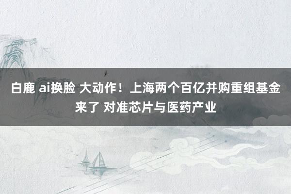 白鹿 ai换脸 大动作！上海两个百亿并购重组基金来了 对准芯片与医药产业
