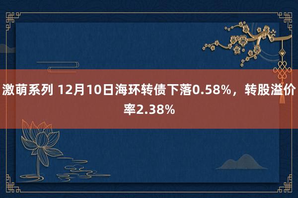 激萌系列 12月10日海环转债下落0.58%，转股溢价率2.38%