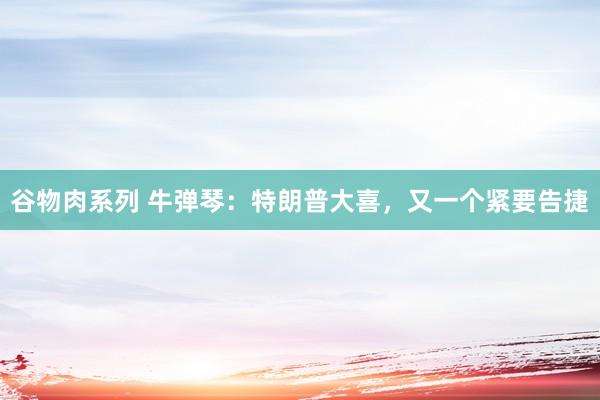 谷物肉系列 牛弹琴：特朗普大喜，又一个紧要告捷