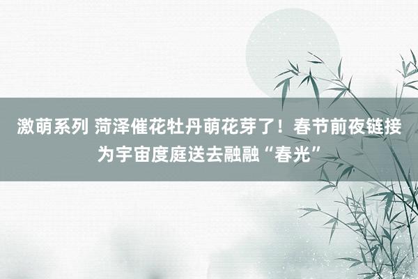 激萌系列 菏泽催花牡丹萌花芽了！春节前夜链接为宇宙度庭送去融融“春光”