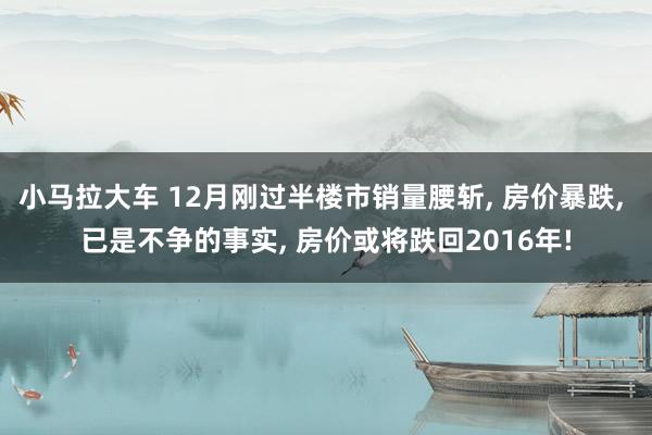 小马拉大车 12月刚过半楼市销量腰斩， 房价暴跌， 已是不争的事实， 房价或将跌回2016年!