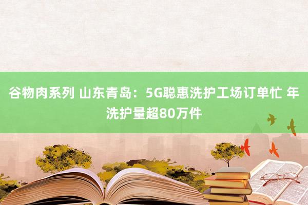 谷物肉系列 山东青岛：5G聪惠洗护工场订单忙 年洗护量超80万件