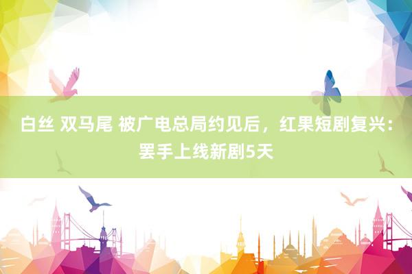 白丝 双马尾 被广电总局约见后，红果短剧复兴：罢手上线新剧5天