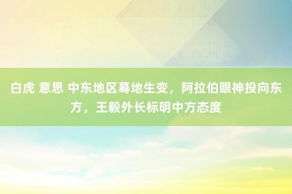 白虎 意思 中东地区蓦地生变，阿拉伯眼神投向东方，王毅外长标明中方态度