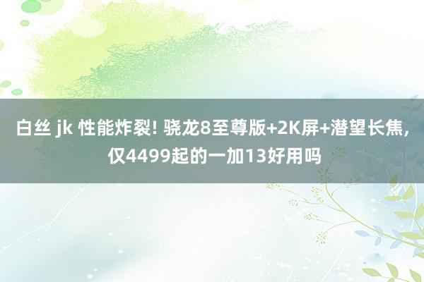 白丝 jk 性能炸裂! 骁龙8至尊版+2K屏+潜望长焦， 仅4499起的一加13好用吗
