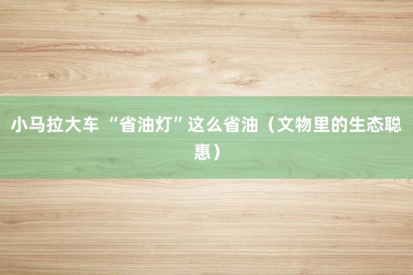 小马拉大车 “省油灯”这么省油（文物里的生态聪惠）