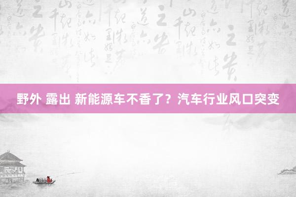 野外 露出 新能源车不香了？汽车行业风口突变