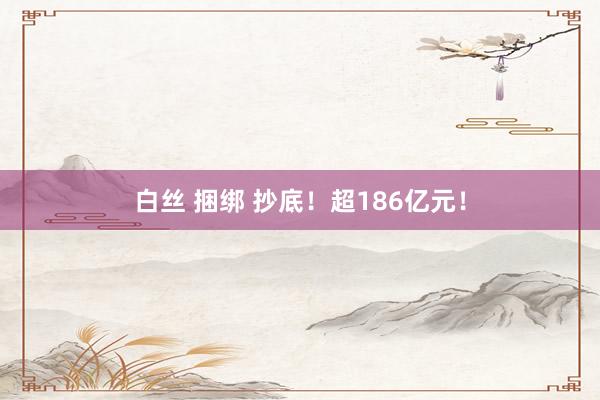 白丝 捆绑 抄底！超186亿元！