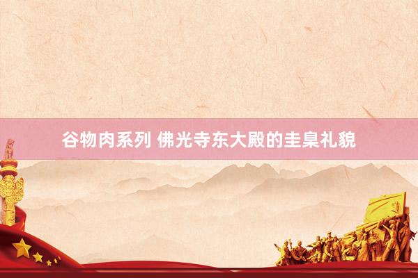 谷物肉系列 佛光寺东大殿的圭臬礼貌