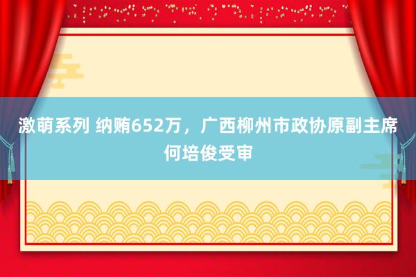 激萌系列 纳贿652万，广西柳州市政协原副主席何培俊受审