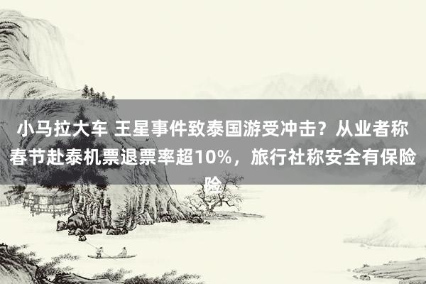 小马拉大车 王星事件致泰国游受冲击？从业者称春节赴泰机票退票率超10%，旅行社称安全有保险