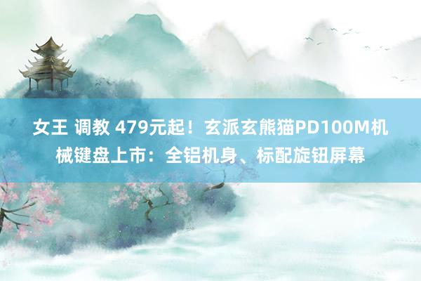 女王 调教 479元起！玄派玄熊猫PD100M机械键盘上市：全铝机身、标配旋钮屏幕