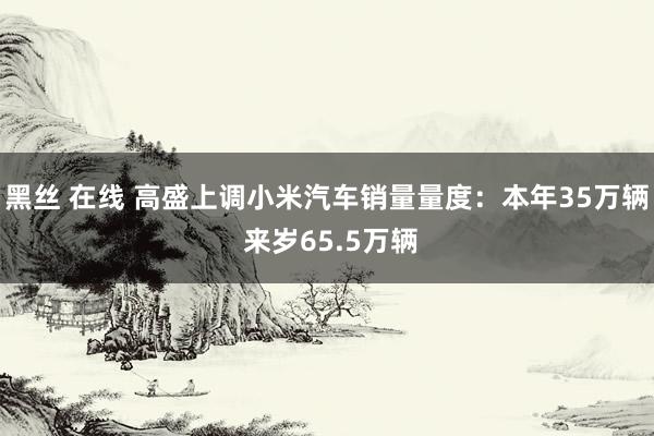 黑丝 在线 高盛上调小米汽车销量量度：本年35万辆 来岁65.5万辆