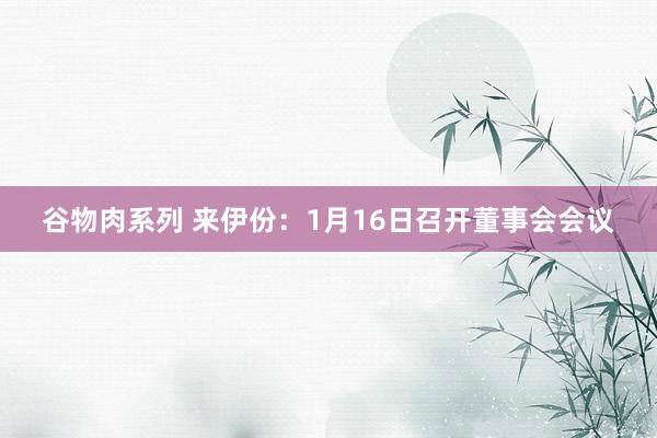 谷物肉系列 来伊份：1月16日召开董事会会议