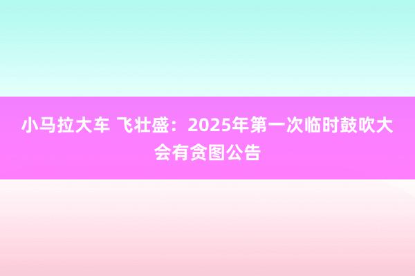 小马拉大车 飞壮盛：2025年第一次临时鼓吹大会有贪图公告