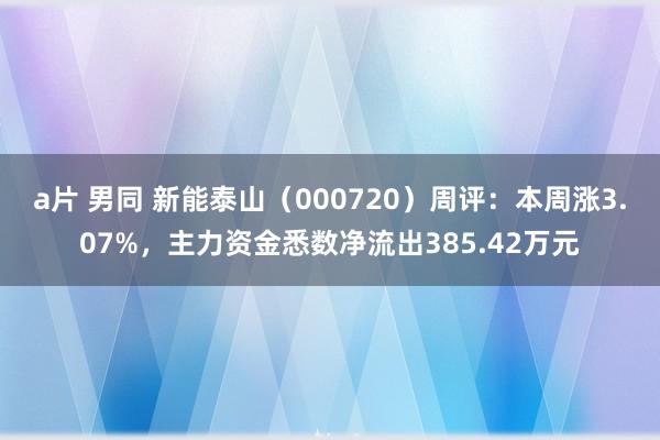 a片 男同 新能泰山（000720）周评：本周涨3.07%，主力资金悉数净流出385.42万元