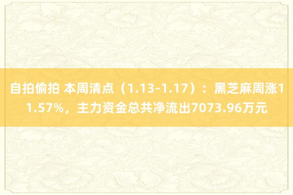 自拍偷拍 本周清点（1.13-1.17）：黑芝麻周涨11.57%，主力资金总共净流出7073.96万元