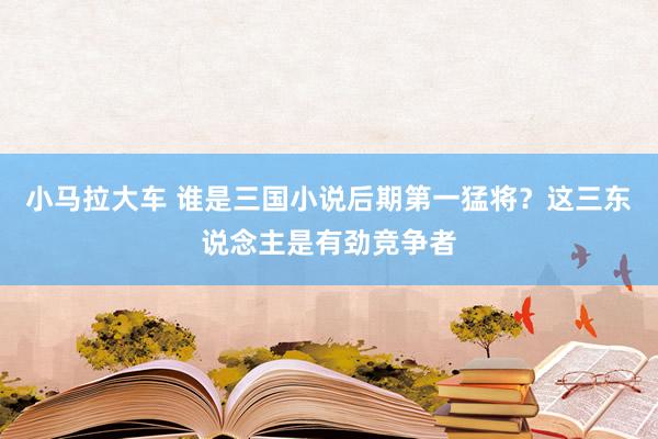 小马拉大车 谁是三国小说后期第一猛将？这三东说念主是有劲竞争者
