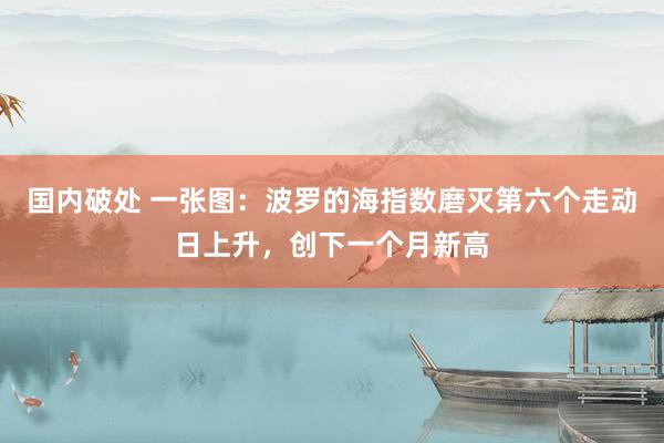 国内破处 一张图：波罗的海指数磨灭第六个走动日上升，创下一个月新高