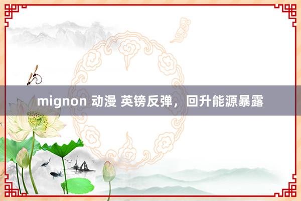 mignon 动漫 英镑反弹，回升能源暴露