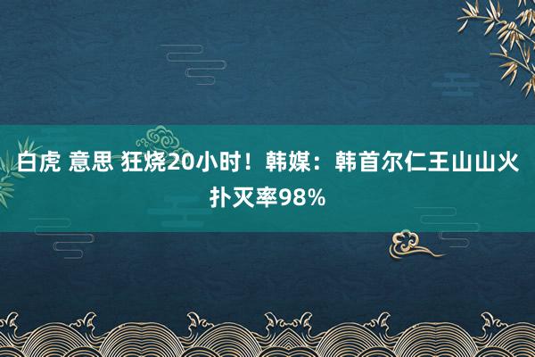 白虎 意思 狂烧20小时！韩媒：韩首尔仁王山山火扑灭率98%