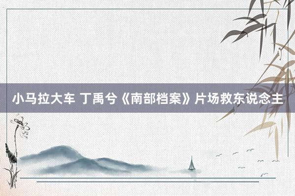 小马拉大车 丁禹兮《南部档案》片场救东说念主